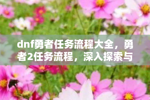 dnf勇者任务流程大全，勇者2任务流程，深入探索与冒险之旅
