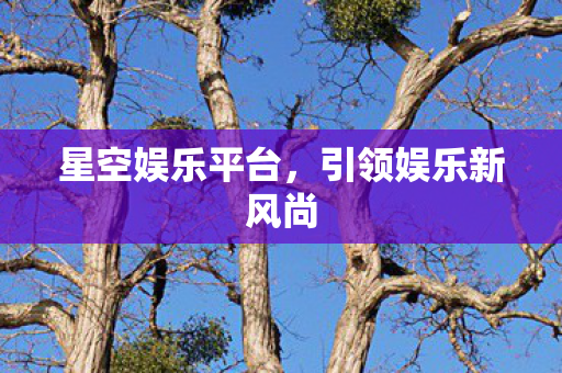 星空娱乐平台,引领娱乐新风尚 星空娱乐平台,引领娱乐新风尚
