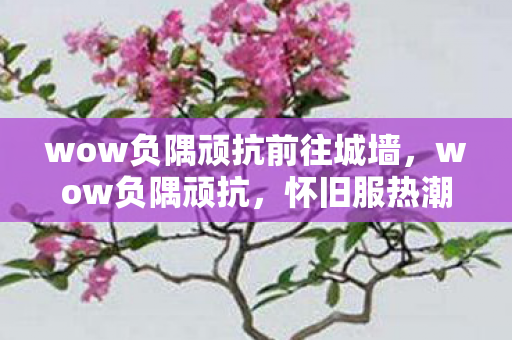 wow负隅顽抗前往城墙，wow负隅顽抗，怀旧服热潮下的经典重燃