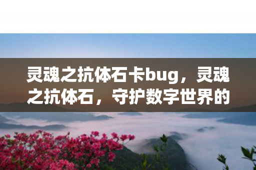 灵魂之抗体石卡bug，灵魂之抗体石，守护数字世界的坚固盾牌