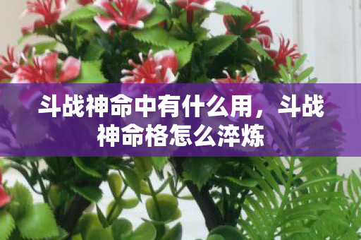 斗战神命中有什么用，斗战神命格怎么淬炼