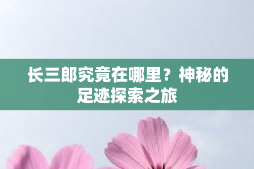 长三郎究竟在哪里?神秘的足迹探索之旅 长三郎究竟在哪里?神秘的足迹探索之旅