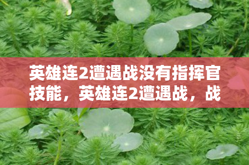 英雄连2遭遇战没有指挥官技能，英雄连2遭遇战，战术与策略的深度剖析