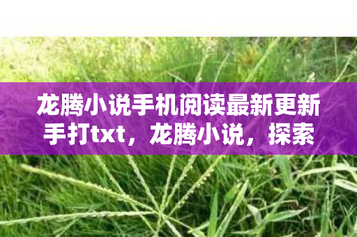龙腾小说手机阅读最新更新手打txt，龙腾小说，探索奇幻世界的奇妙之旅