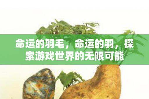 命运的羽毛，命运的羽，探索游戏世界的无限可能