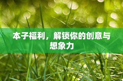 本子福利，解锁你的创意与想象力