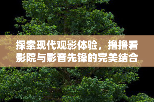 探索现代观影体验，撸撸看影院与影音先锋的完美结合