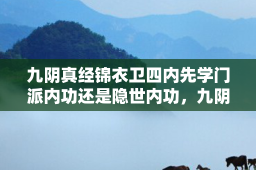 九阴真经锦衣卫四内先学门派内功还是隐世内功，九阴真经锦衣卫四内，揭秘武林的隐秘力量