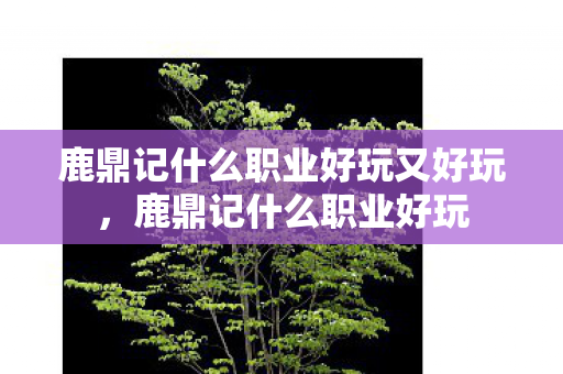 鹿鼎记什么职业好玩又好玩，鹿鼎记什么职业好玩
