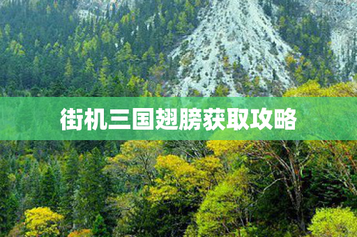 街机三国翅膀获取攻略