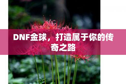 DNF金球，打造属于你的传奇之路