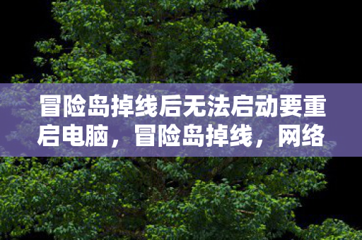 冒险岛掉线后无法启动要重启电脑，冒险岛掉线，网络波动背后的故事