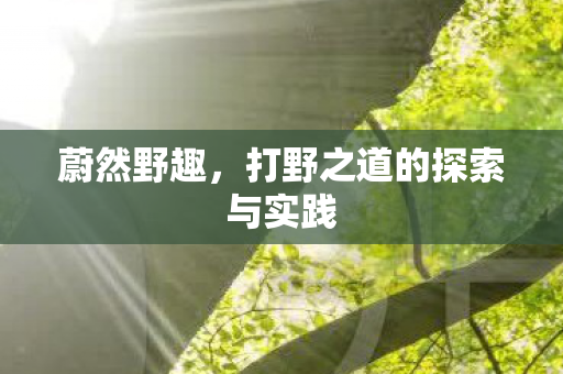 蔚然野趣，打野之道的探索与实践
