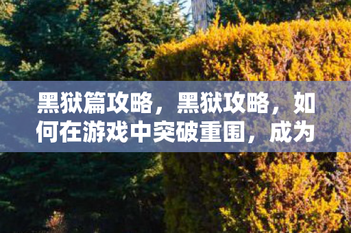 黑狱篇攻略，黑狱攻略，如何在游戏中突破重围，成为顶尖玩家