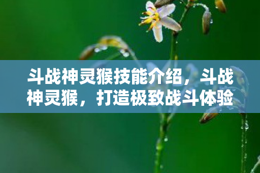斗战神灵猴技能介绍，斗战神灵猴，打造极致战斗体验