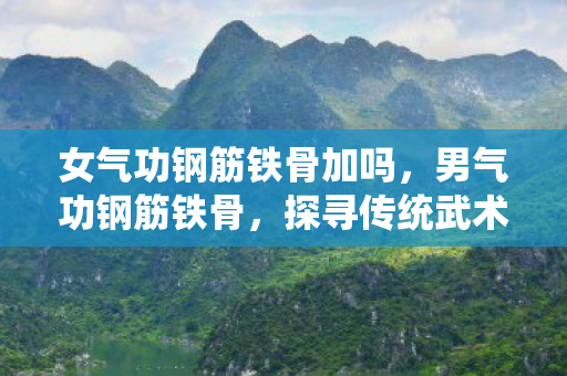 女气功钢筋铁骨加吗，男气功钢筋铁骨，探寻传统武术的奥秘与力量