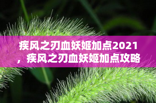 疾风之刃血妖姬加点2021，疾风之刃血妖姬加点攻略，打造最强输出角色
