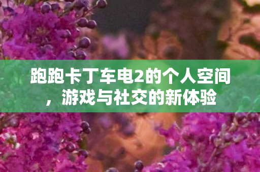 跑跑卡丁车电2的个人空间，游戏与社交的新体验