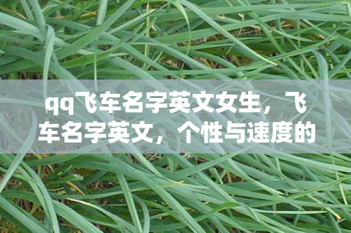 qq飞车名字英文女生，飞车名字英文，个性与速度的碰撞