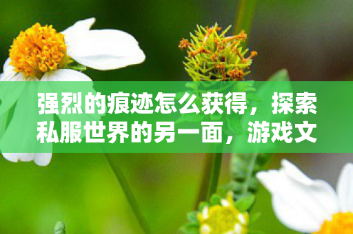 强烈的痕迹怎么获得，探索私服世界的另一面，游戏文化的独特魅力与玩家社群
