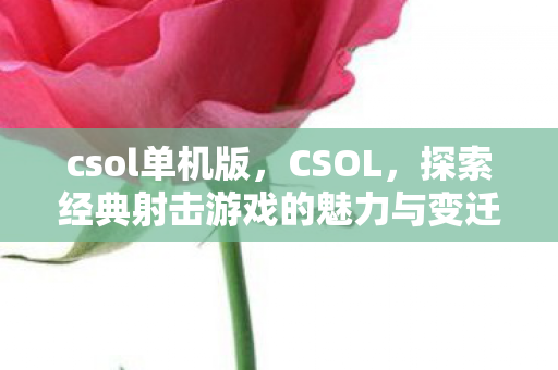 csol单机版，CSOL，探索经典射击游戏的魅力与变迁
