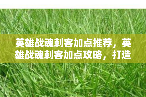 英雄战魂刺客加点推荐，英雄战魂刺客加点攻略，打造致命一击的加点策略