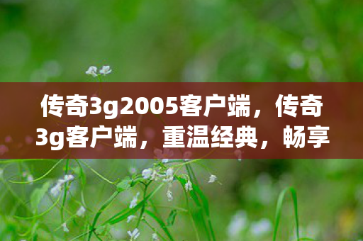 传奇3g2005客户端，传奇3g客户端，重温经典，畅享游戏新体验