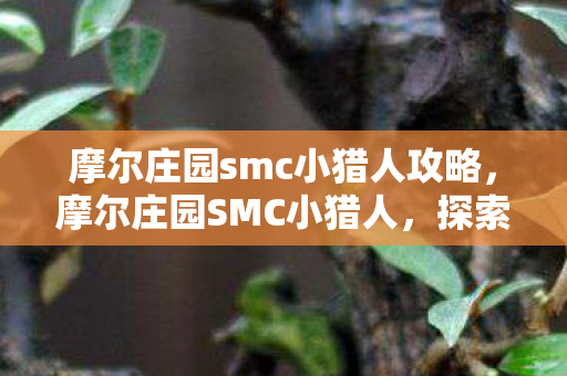 摩尔庄园smc小猎人攻略，摩尔庄园SMC小猎人，探索神秘岛屿的冒险之旅