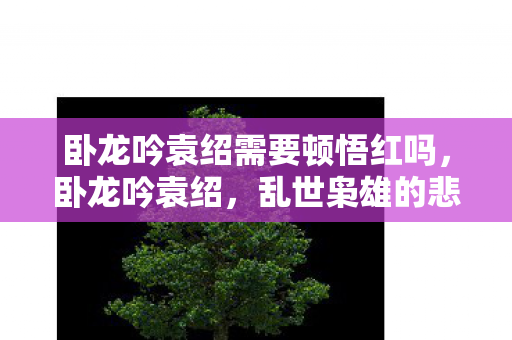 卧龙吟袁绍需要顿悟红吗，卧龙吟袁绍，乱世枭雄的悲情人生
