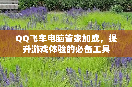 QQ飞车电脑管家加成，提升游戏体验的必备工具