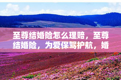 至尊结婚险怎么理赔，至尊结婚险，为爱保驾护航，婚姻中的全面保障