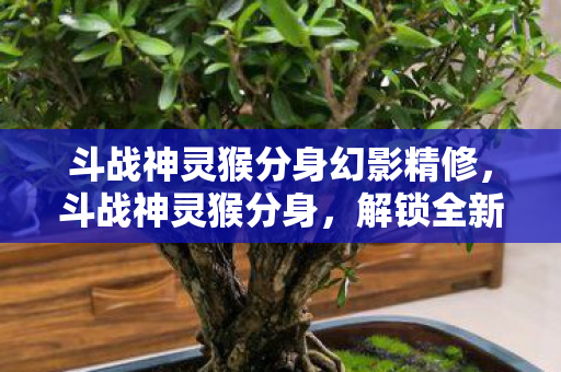 斗战神灵猴分身幻影精修，斗战神灵猴分身，解锁全新战斗体验