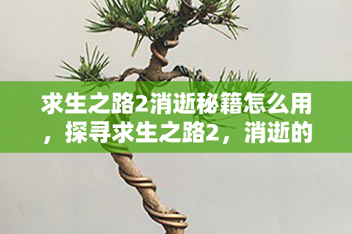 求生之路2消逝秘籍怎么用，探寻求生之路2，消逝的隐藏秘籍