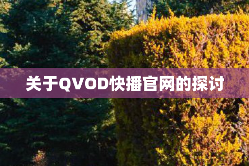 关于QVOD快播官网的探讨