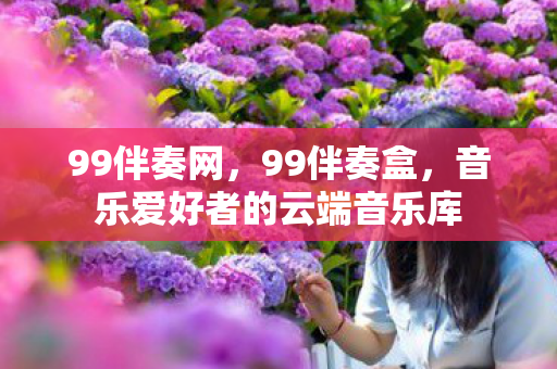 99伴奏网，99伴奏盒，音乐爱好者的云端音乐库