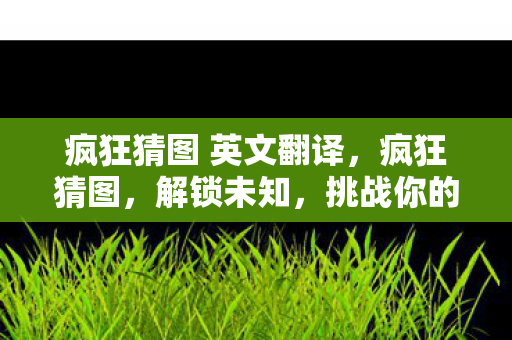 疯狂猜图 英文翻译，疯狂猜图，解锁未知，挑战你的想象力