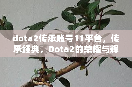dota2传承账号11平台，传承经典，Dota2的荣耀与辉煌