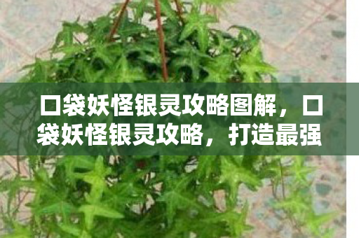 口袋妖怪银灵攻略图解，口袋妖怪银灵攻略，打造最强宝可梦阵容