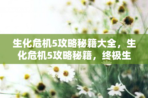 生化危机5攻略秘籍大全，生化危机5攻略秘籍，终极生存指南