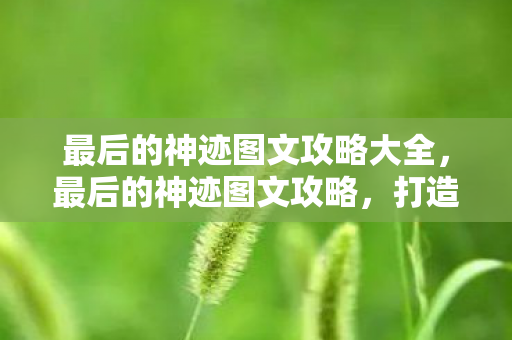 最后的神迹图文攻略大全，最后的神迹图文攻略，打造完美游戏体验