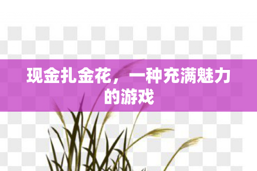现金扎金花，一种充满魅力的游戏