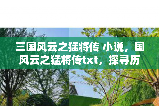 三国风云之猛将传 小说，国风云之猛将传txt，探寻历史长河中的英雄传奇