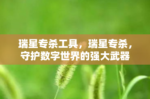 瑞星专杀工具，瑞星专杀，守护数字世界的强大武器
