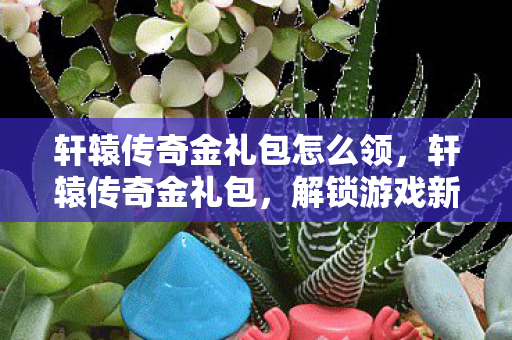 轩辕传奇金礼包怎么领，轩辕传奇金礼包，解锁游戏新世界的神秘钥匙