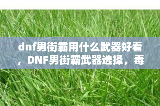 dnf男街霸用什么武器好看，DNF男街霸武器选择，毒针发射器与千丝乱舞