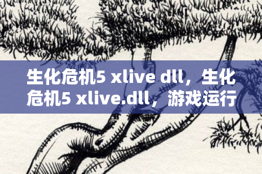 生化危机5 xlive dll，生化危机5 xlive.dll，游戏运行的关键与修复指南