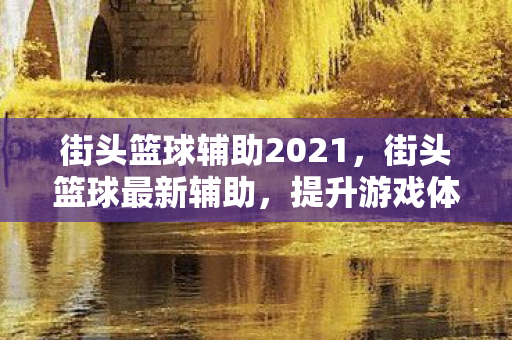 街头篮球辅助2021，街头篮球最新辅助，提升游戏体验的利器