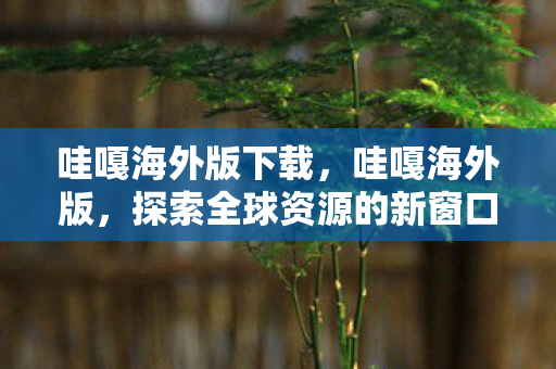 哇嘎海外版下载，哇嘎海外版，探索全球资源的新窗口