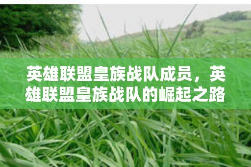 英雄联盟皇族战队成员，英雄联盟皇族战队的崛起之路