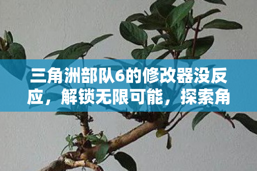 三角洲部队6的修改器没反应，解锁无限可能，探索角洲部队7修改器的创意玩法